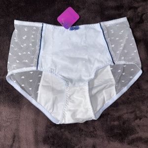 Light blue and white Menstrual Panties with sheer fabric. Lolita period pantie…